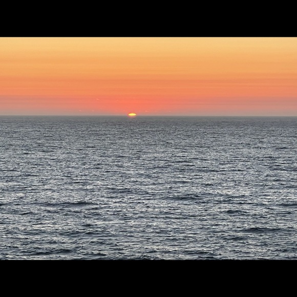 Meet your Posher, Joni - Picture 1 of 1